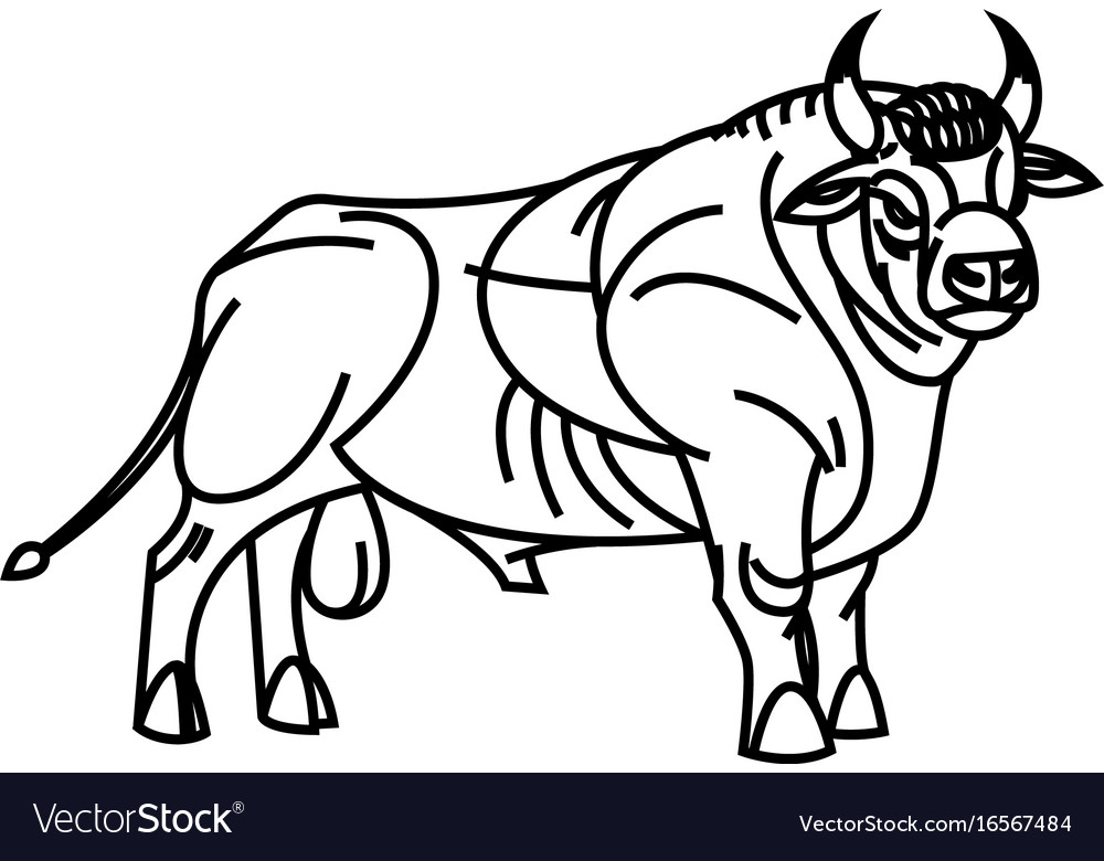 Drawing of standing bull Royalty Free Vector Image