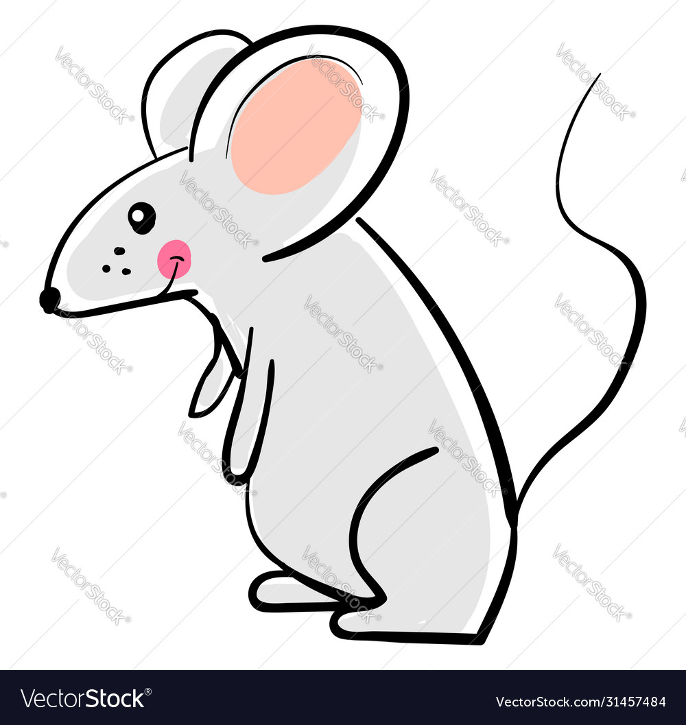 Happy mouse on white background