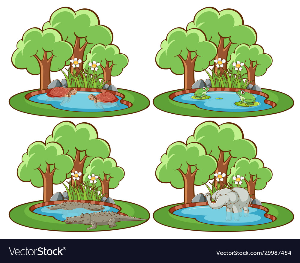 Set wild animals in park with pond and tree Vector Image