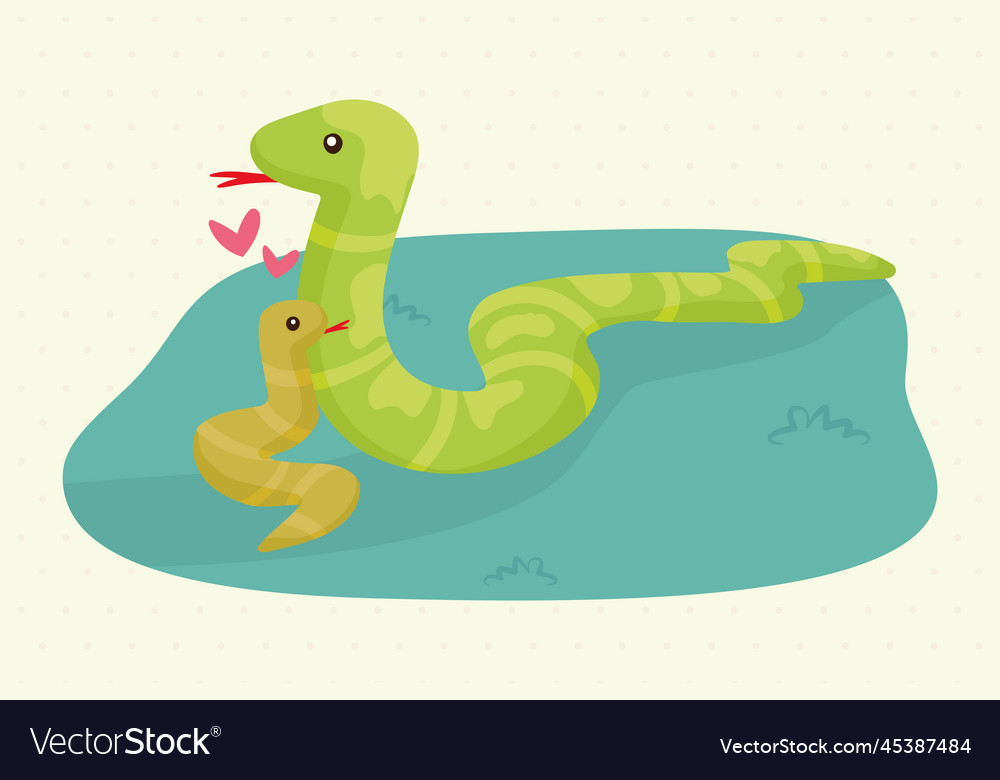 Snakes mom and baby Royalty Free Vector Image - VectorStock