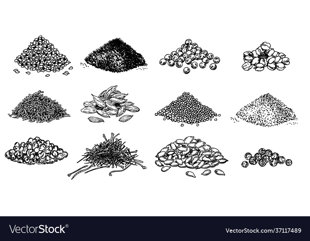 Piles spices black pepper sesame seeds poppy Vector Image