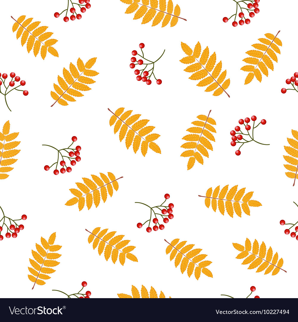 Autumn seamless pattern with rowan