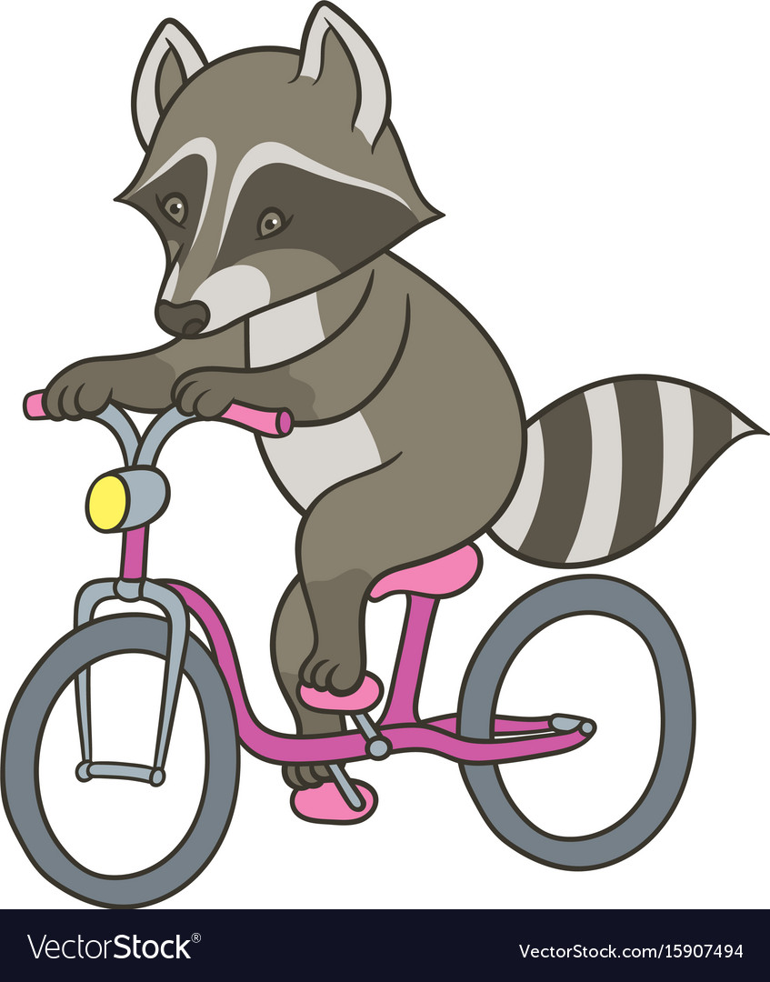 Cute Raccoon on a Bicycle
