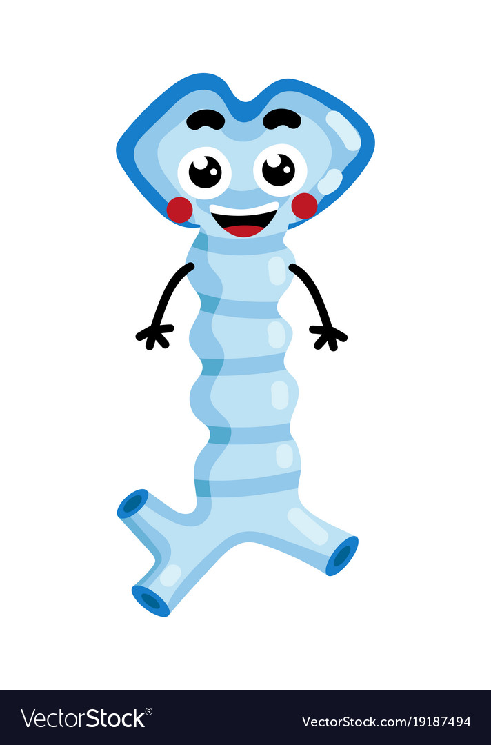 Human Oesophagus Cute Cartoon Character Royalty Free Vector human-oesophagus-cute-cartoon-character-royalty-free-vector
