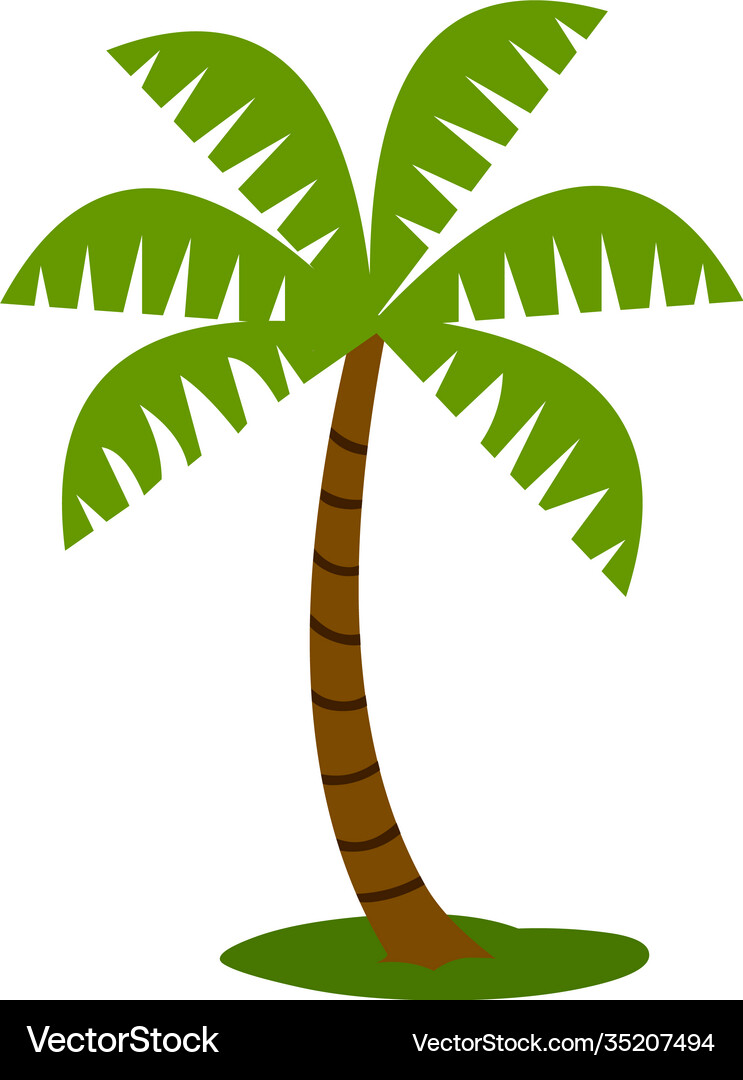Palm-tree Royalty Free Vector Image - VectorStock