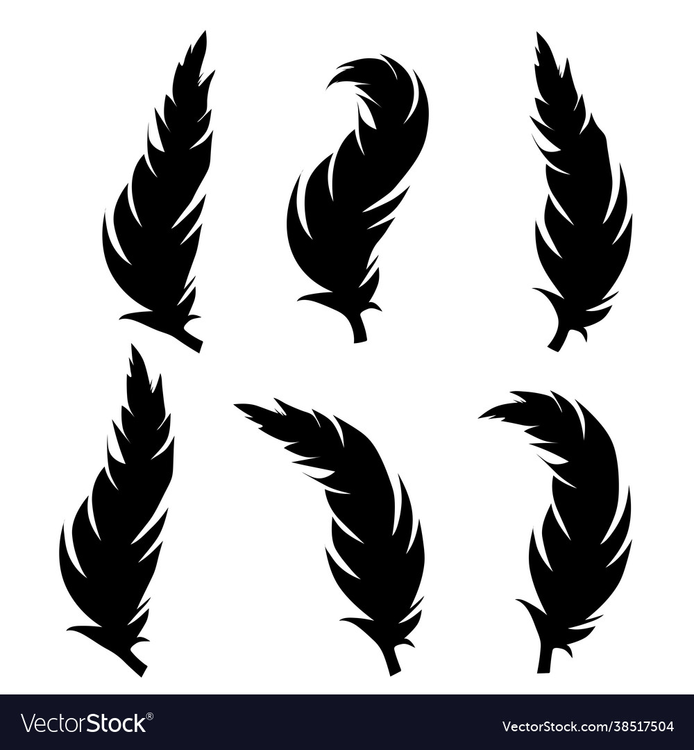 Collection feather drawing engraving ink line Vector Image