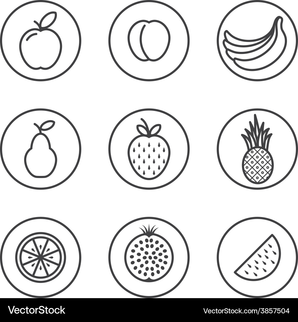 Fruit flat design thin line icon set Royalty Free Vector