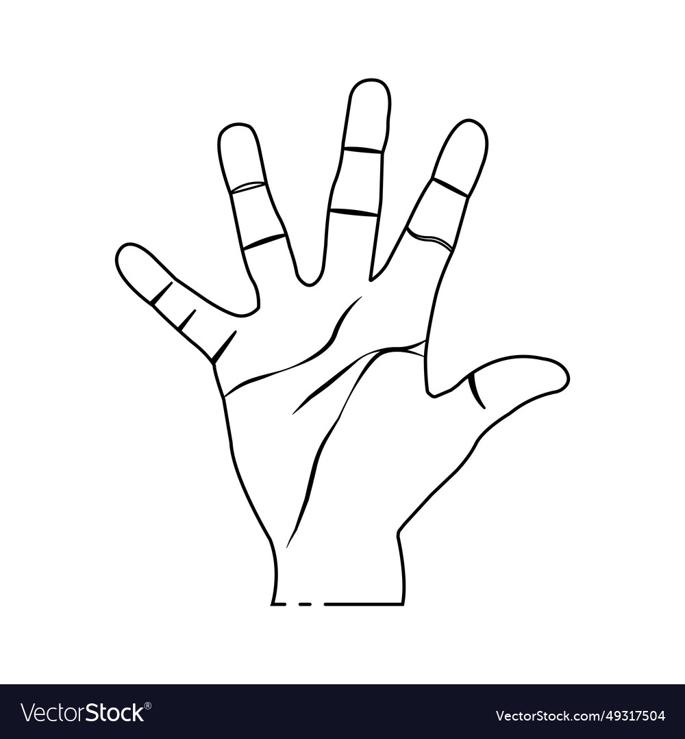 Hand palm icon Royalty Free Vector Image - VectorStock