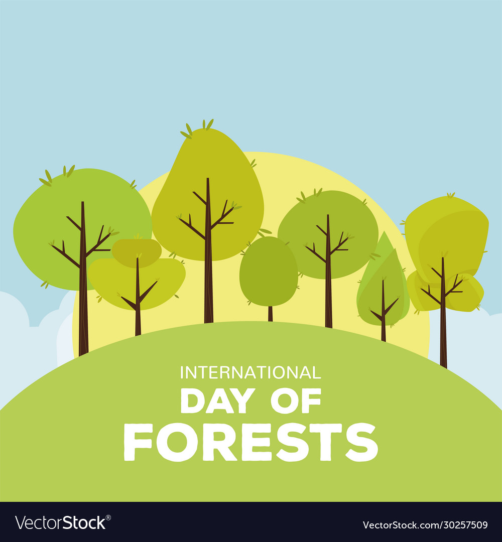 Forest day poster Royalty Free Vector Image VectorStock