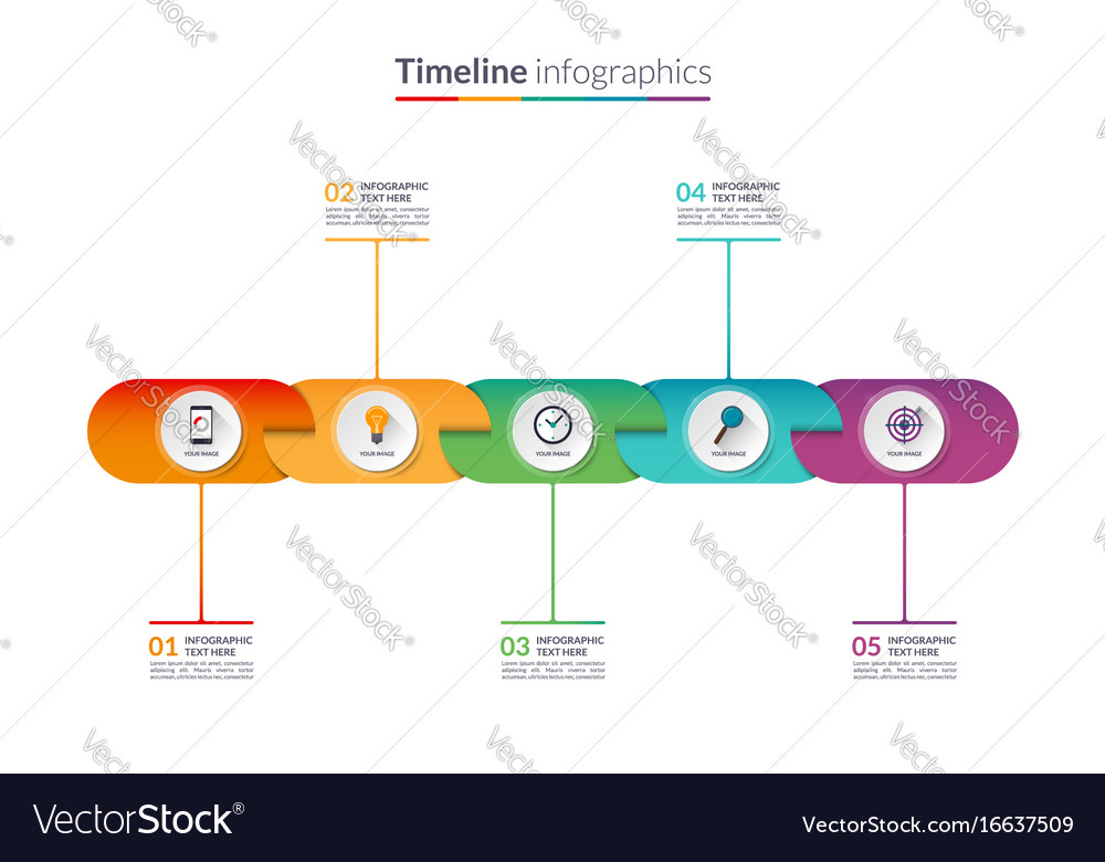 Timeline infographic template banner Royalty Free Vector