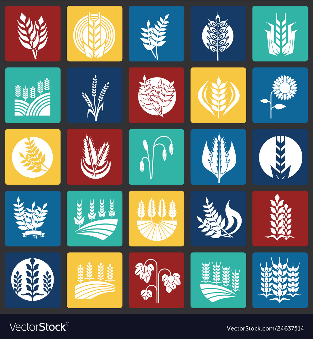 Cereal icons set on color squares background vector image Cereal icons set on color squares background