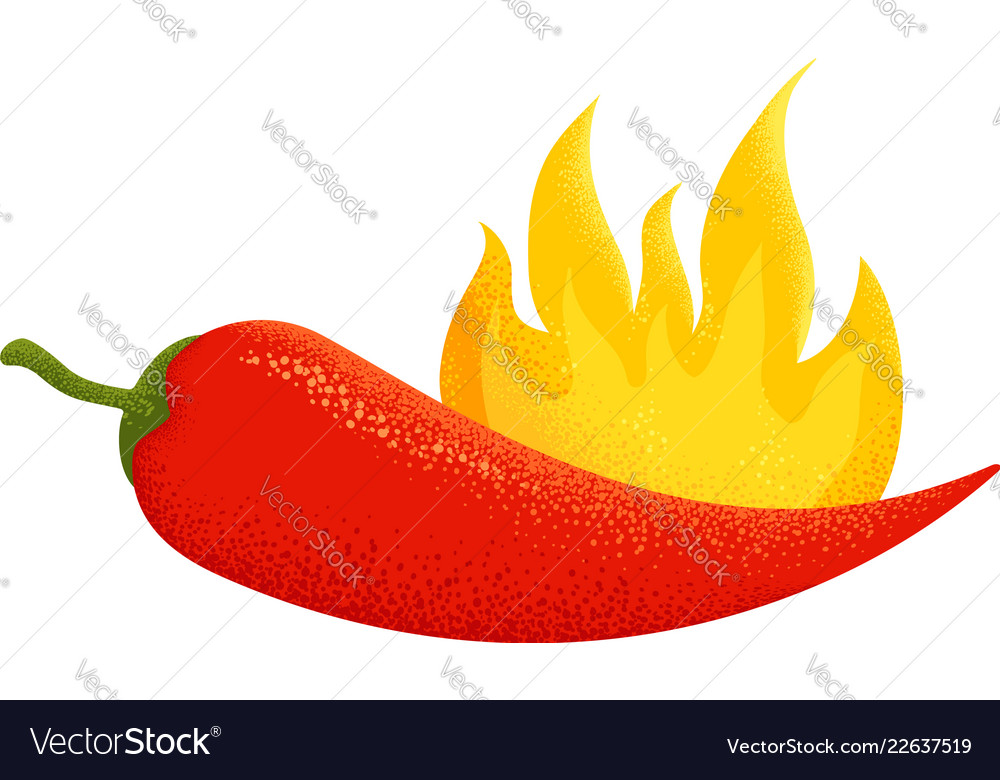 Chili pepper with fire Royalty Free Vector Image