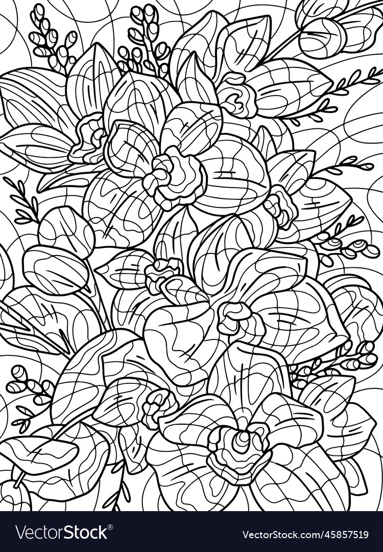 Floral Botanical Sketch