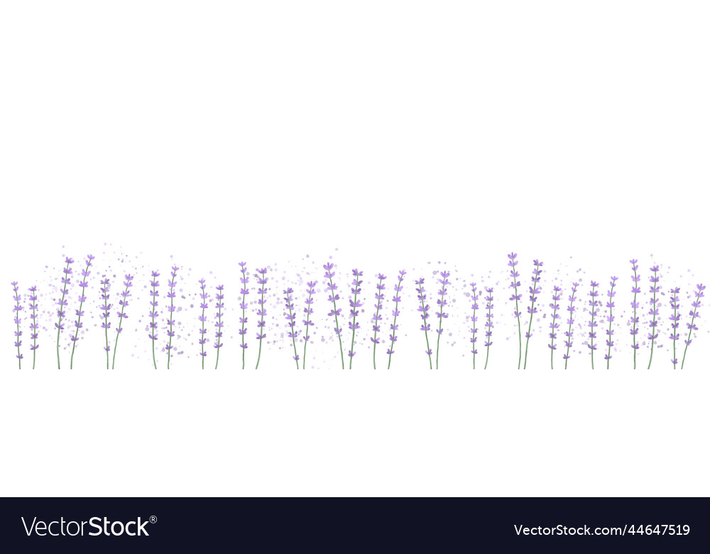 Horizontal floral background with lavender flowers vector image Horizontal floral background with lavender flowers