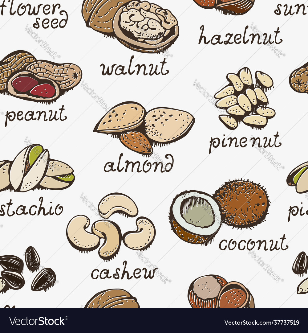 Nuts set seamless pattern various Vector Image Nuts set seamless pattern various
