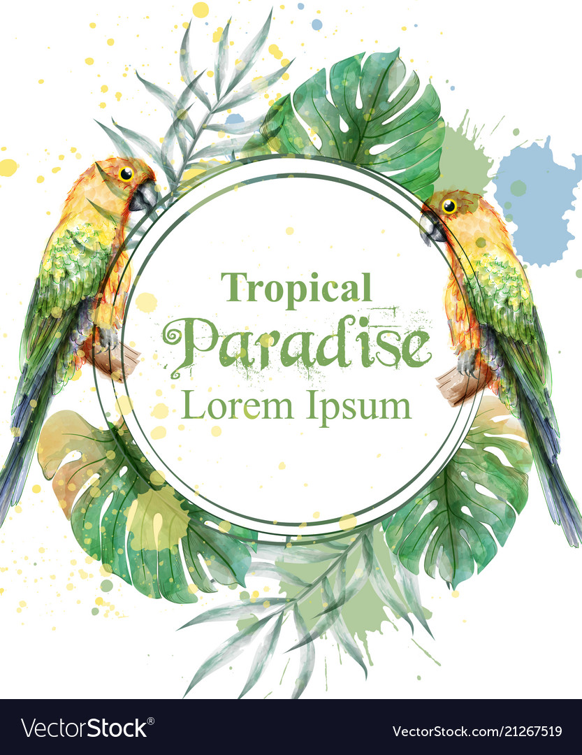 Tropical paradise frame with watercolor parrots vector image Tropical paradise frame with watercolor parrots