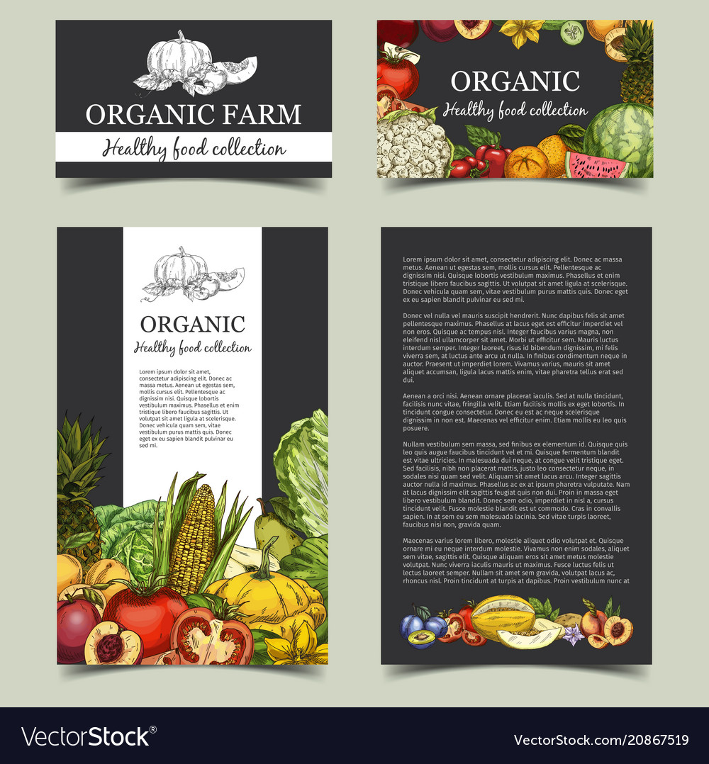 Vegetables and fresh fruits at market banner Vector Image