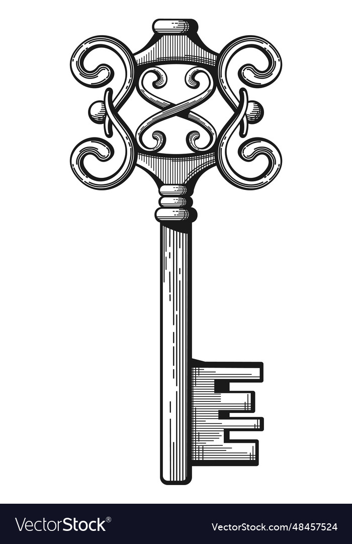 Ancient key classic ornate vintage protection Vector Image