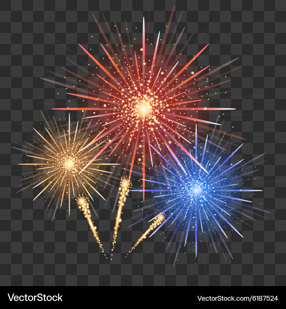 Holiday firework Royalty Free Vector Image - VectorStock