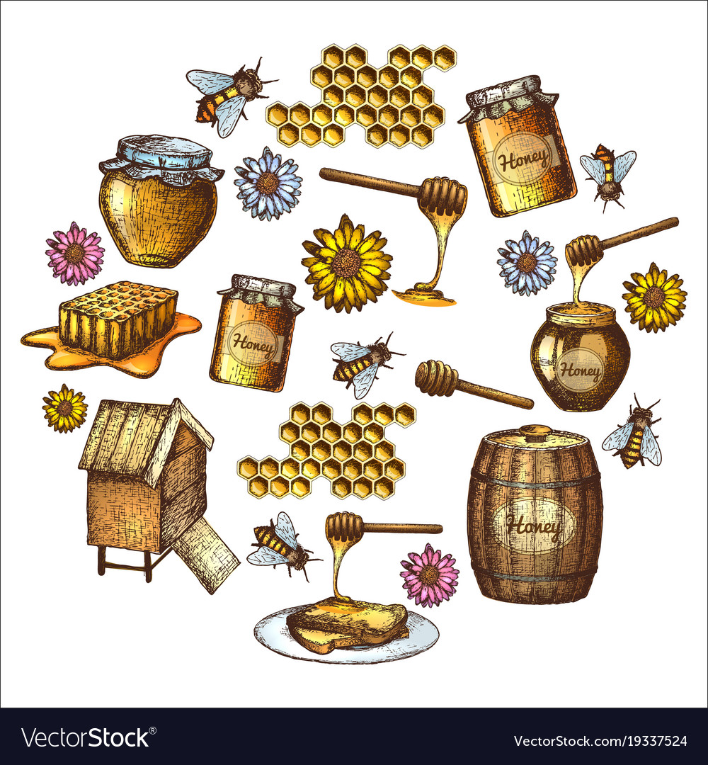 Set of honey sketch