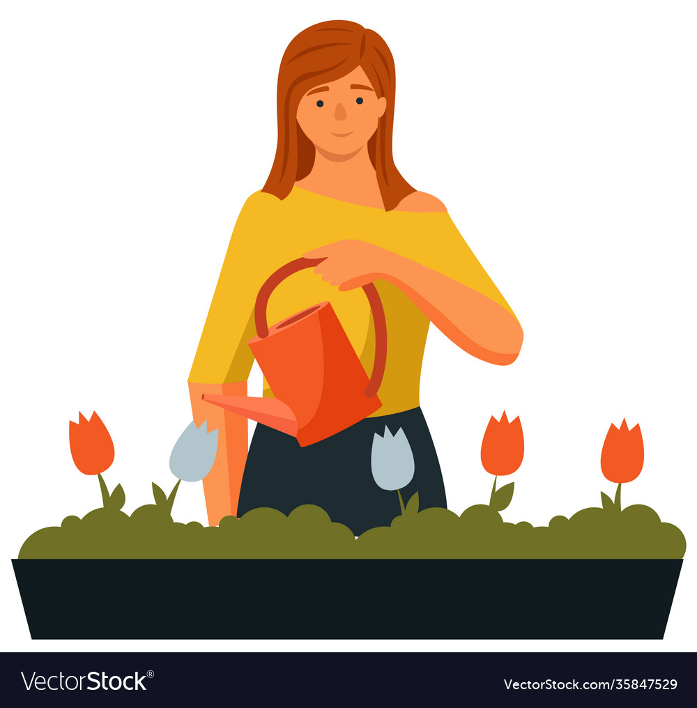 Beautiful young woman watering houseplants caring Vector Image