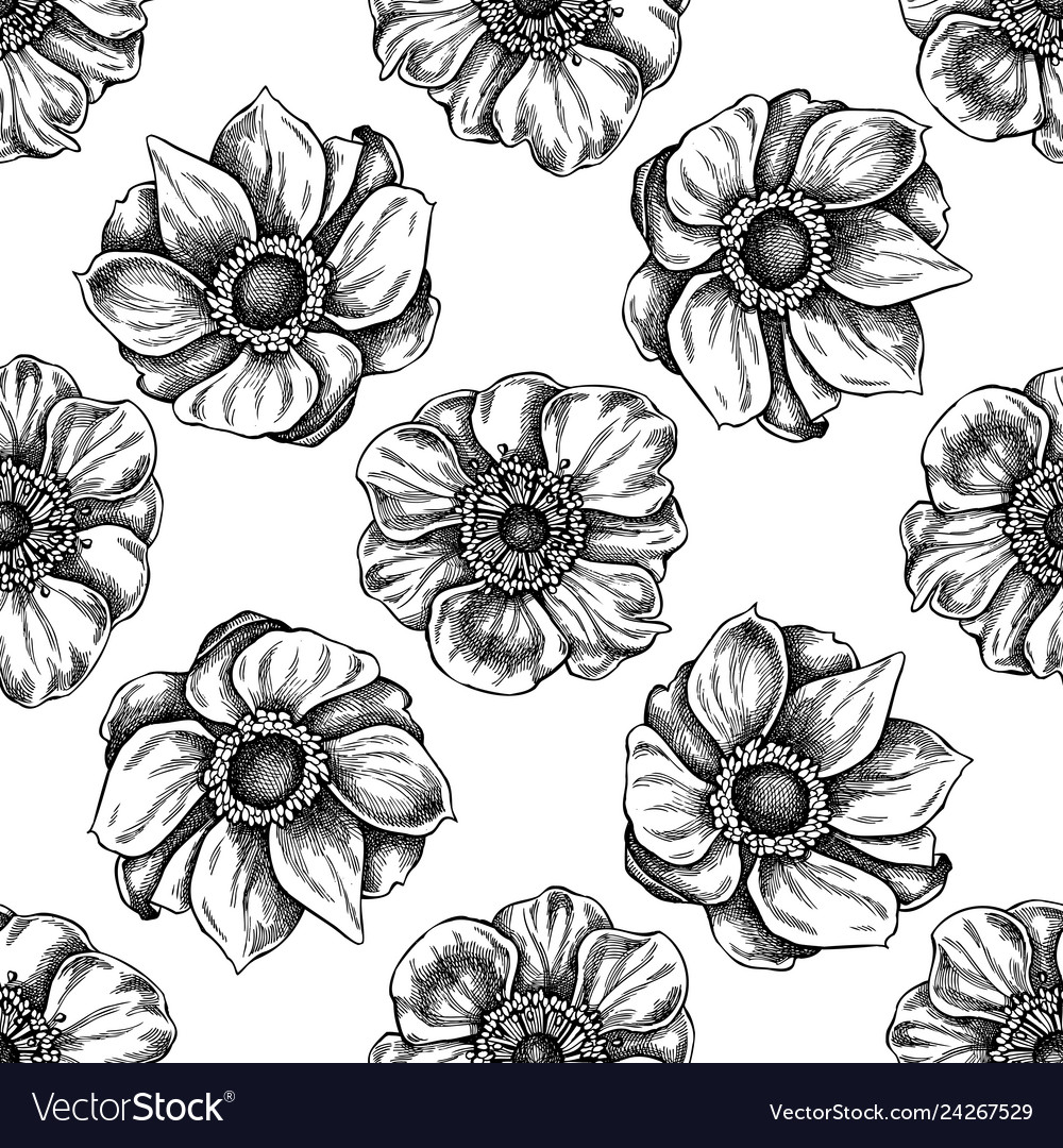 Seamless pattern with black and white anemone