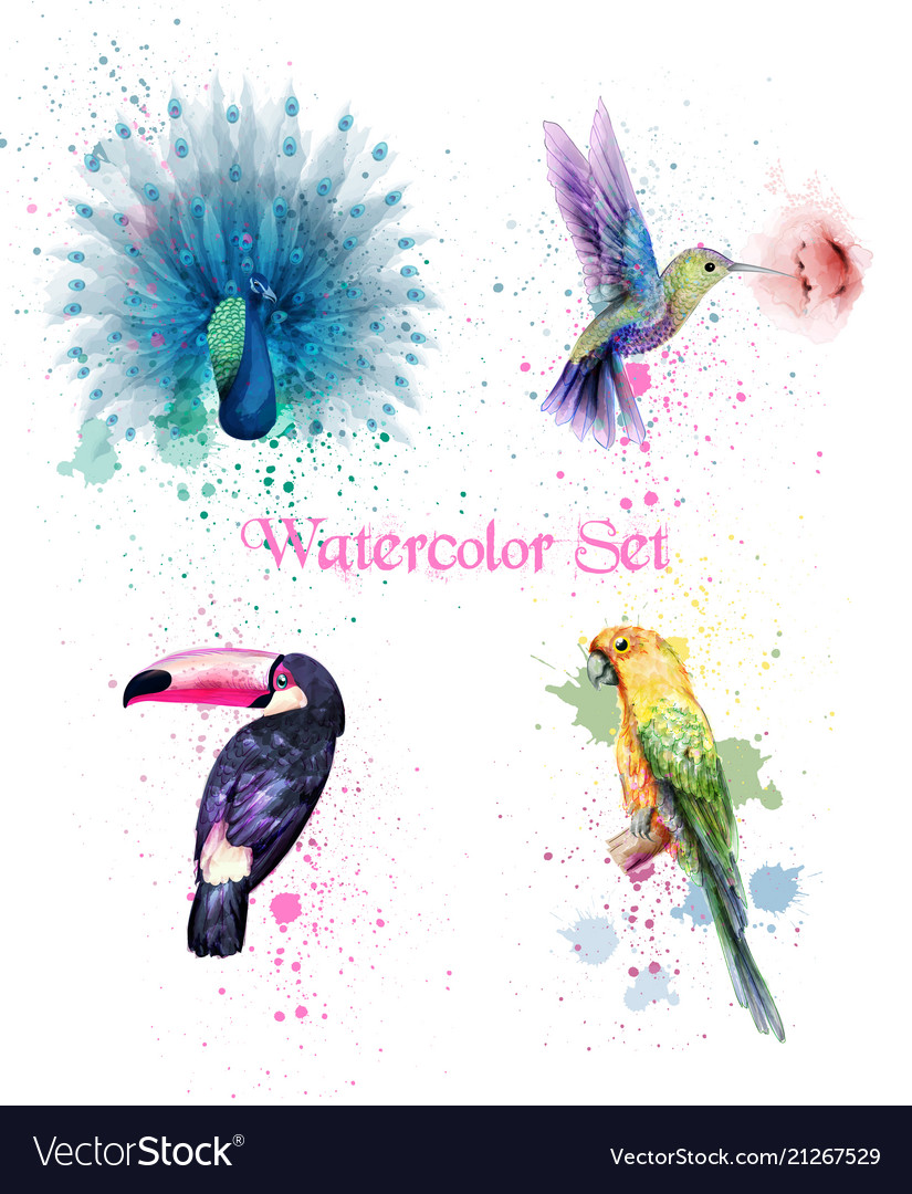 watercolor birds set peacock