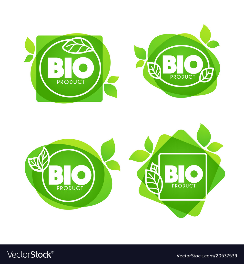 Bio product doodle organic leaves emblems Vector Image