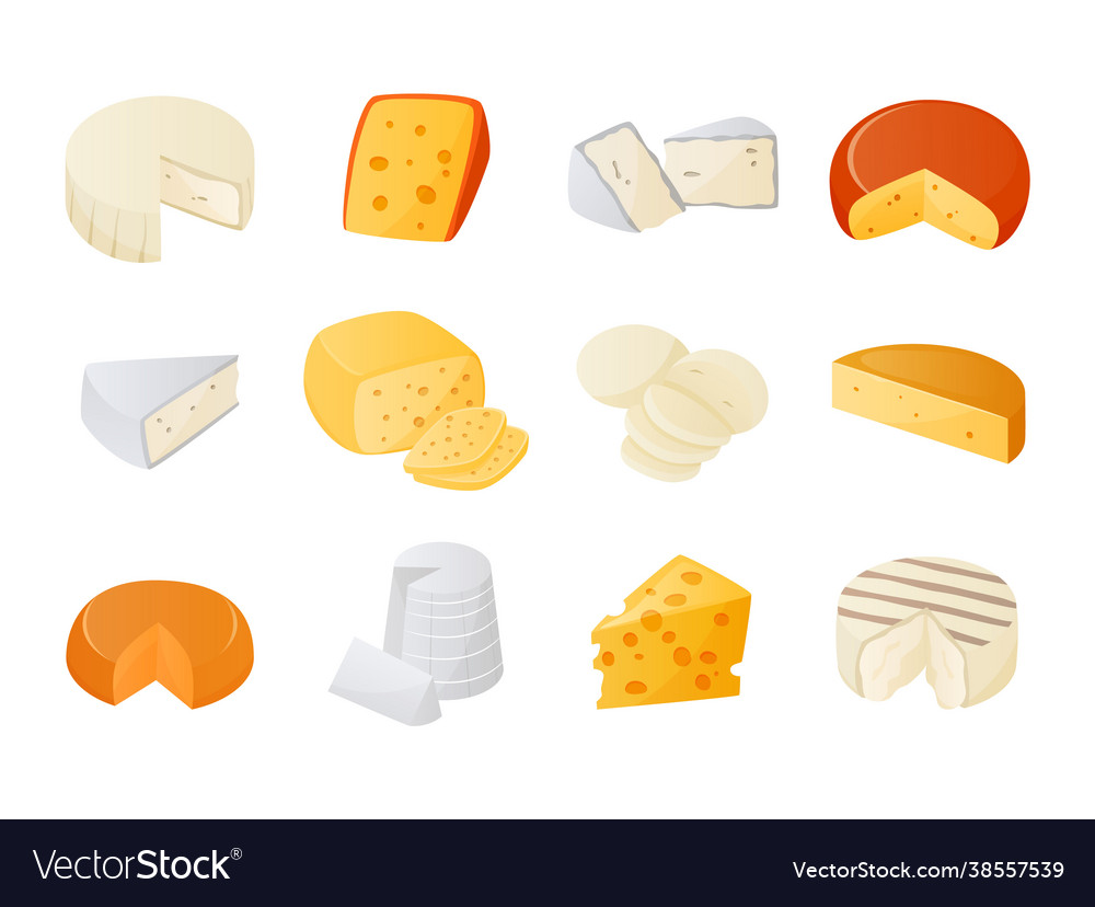 Cheese cartoon milk products pieces gourmet Vector Image