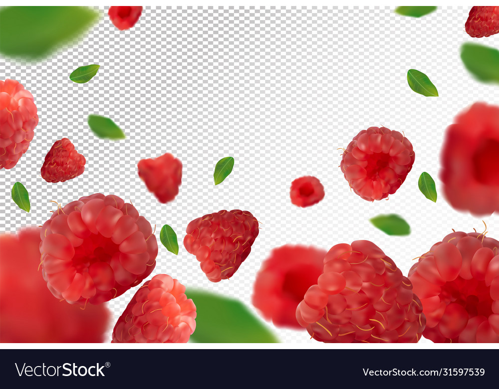 Raspberry background fresh with green vector image Raspberry background fresh with green