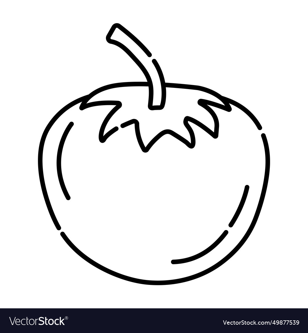 Tomato black line icon