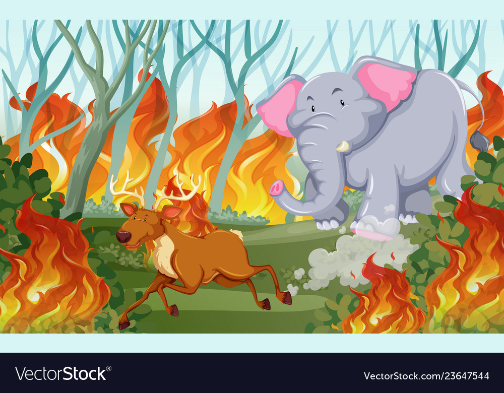 Animals run away from wildfire Royalty Free Vector Image Animals run away from wildfire Royalty Free Vector Image