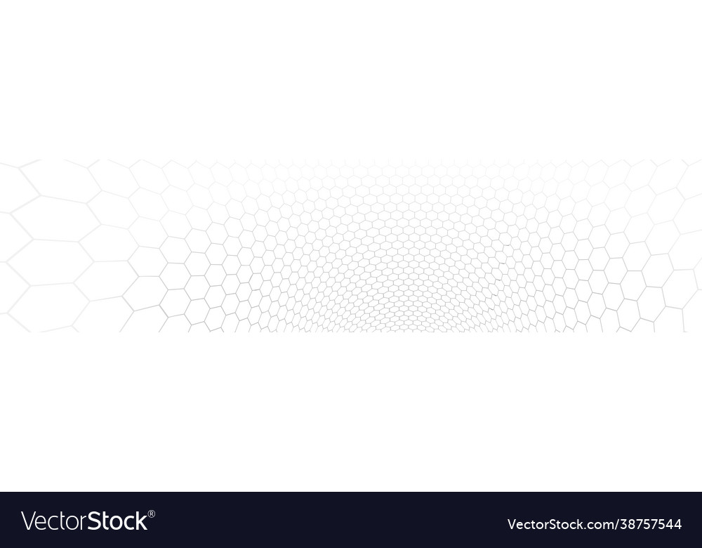 Technology and science background tech vector image Technology and science background tech