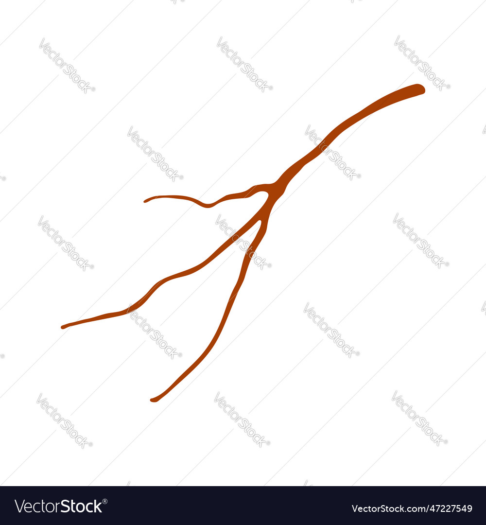 Tree branch twig hand drawn