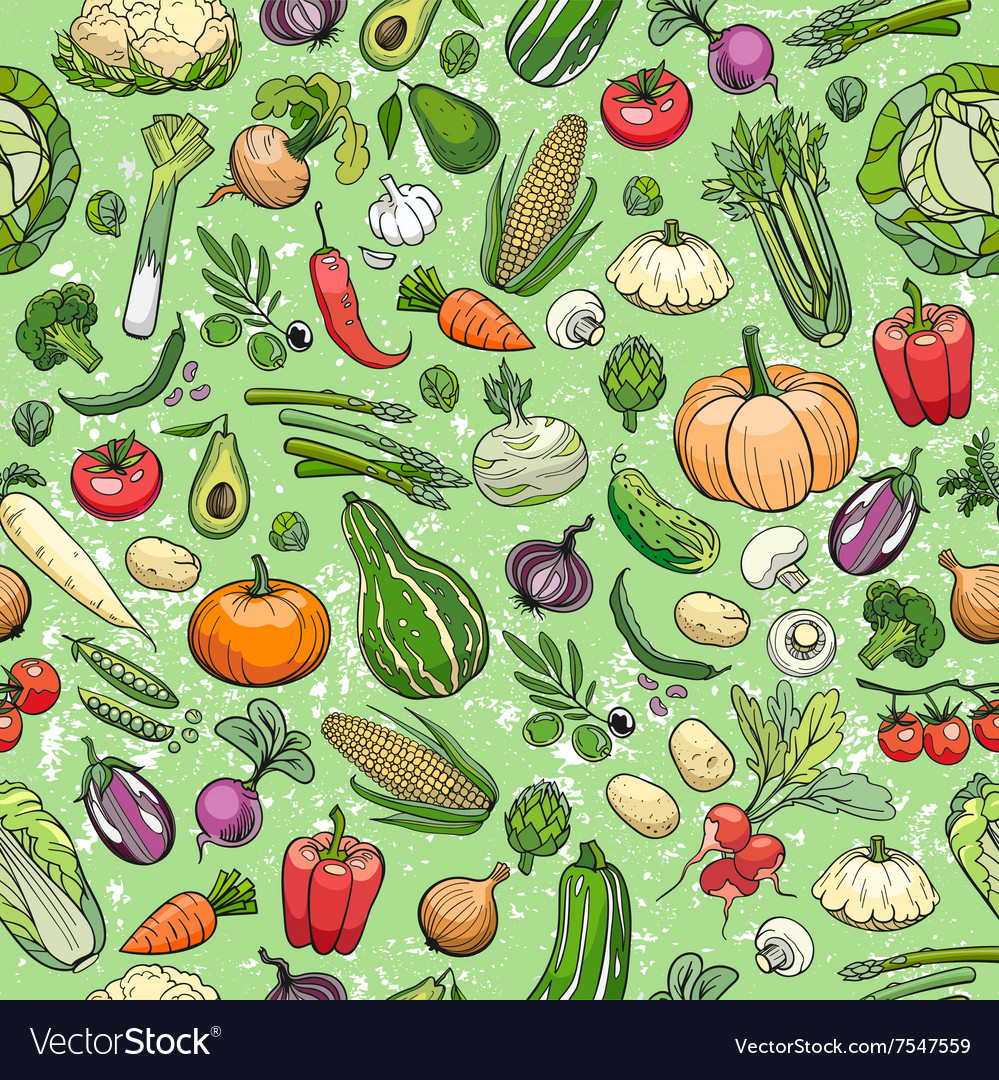 Different vegetables drawings Royalty Free Vector Image