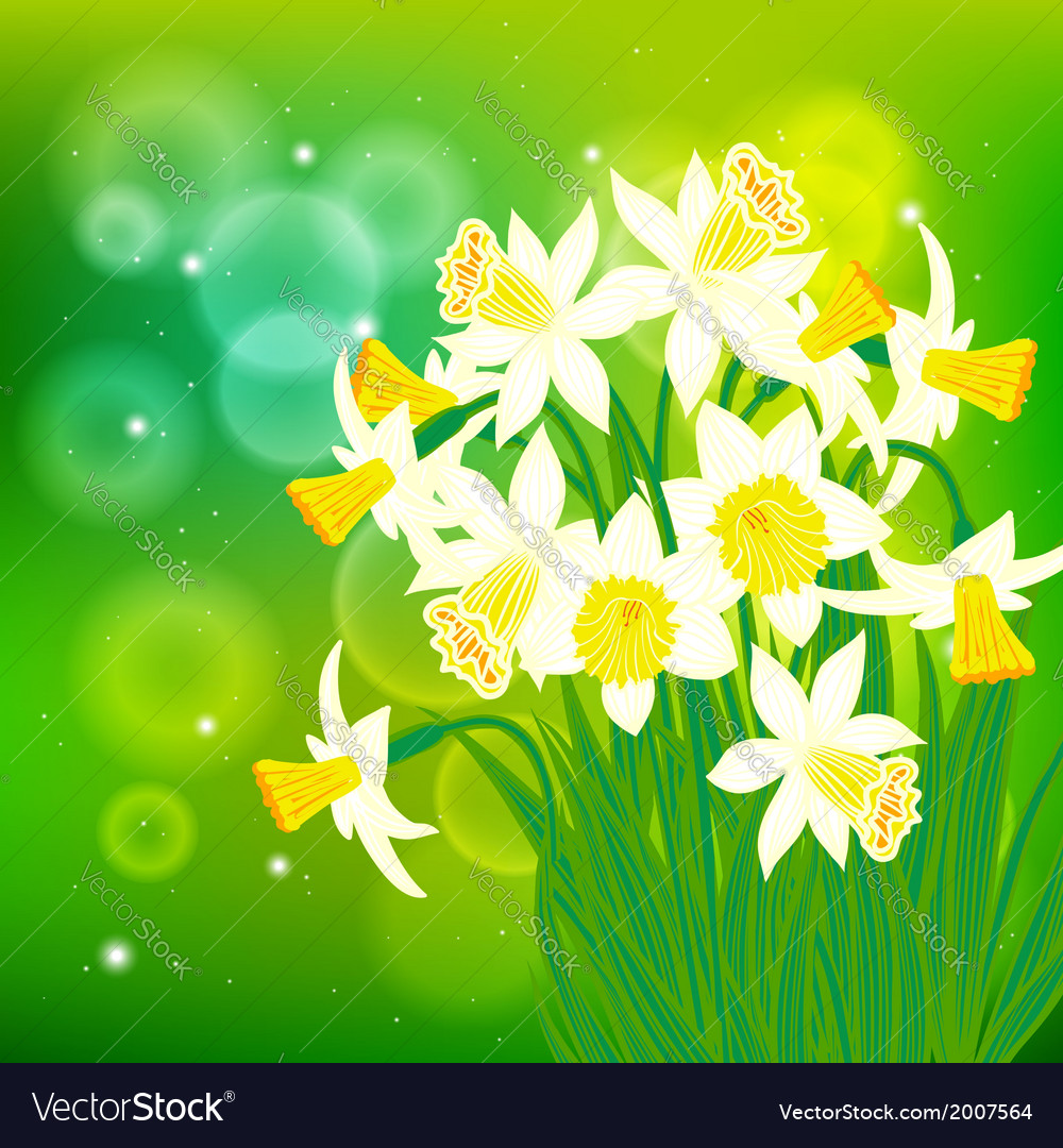Card with white daffodils on light bokeh