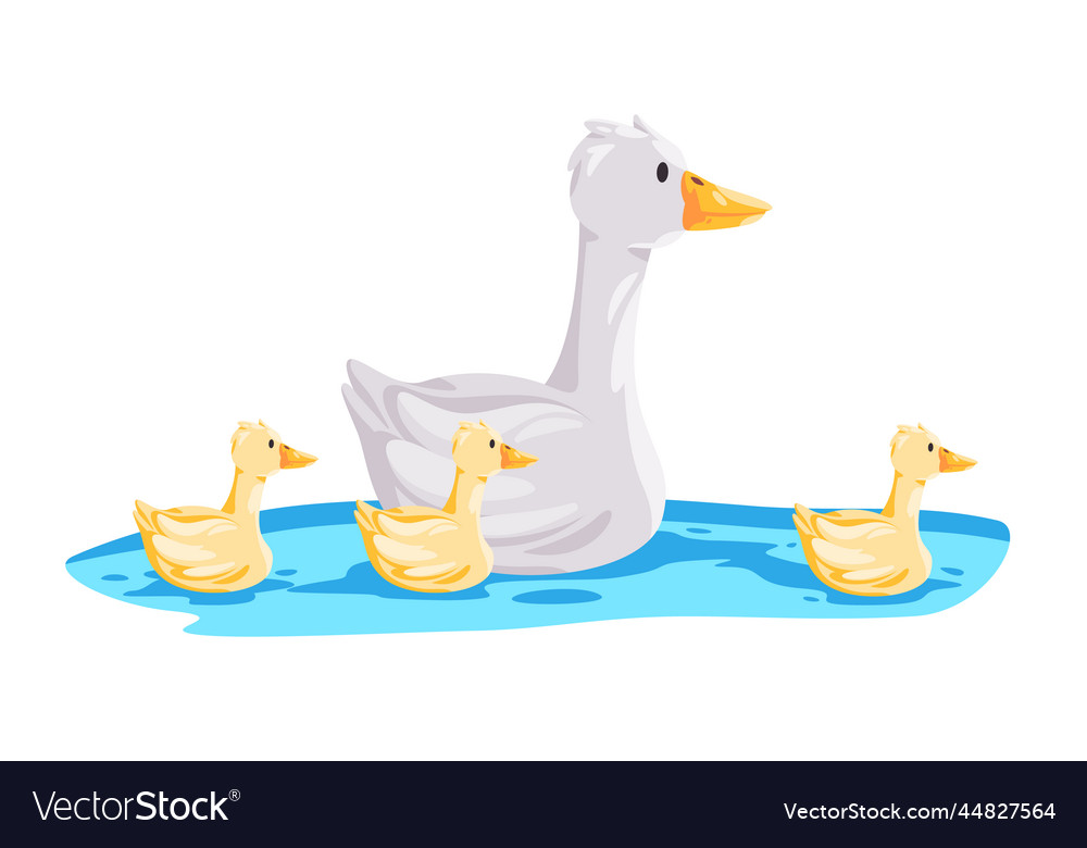 Goose mother swim with kids children in water Vector Image