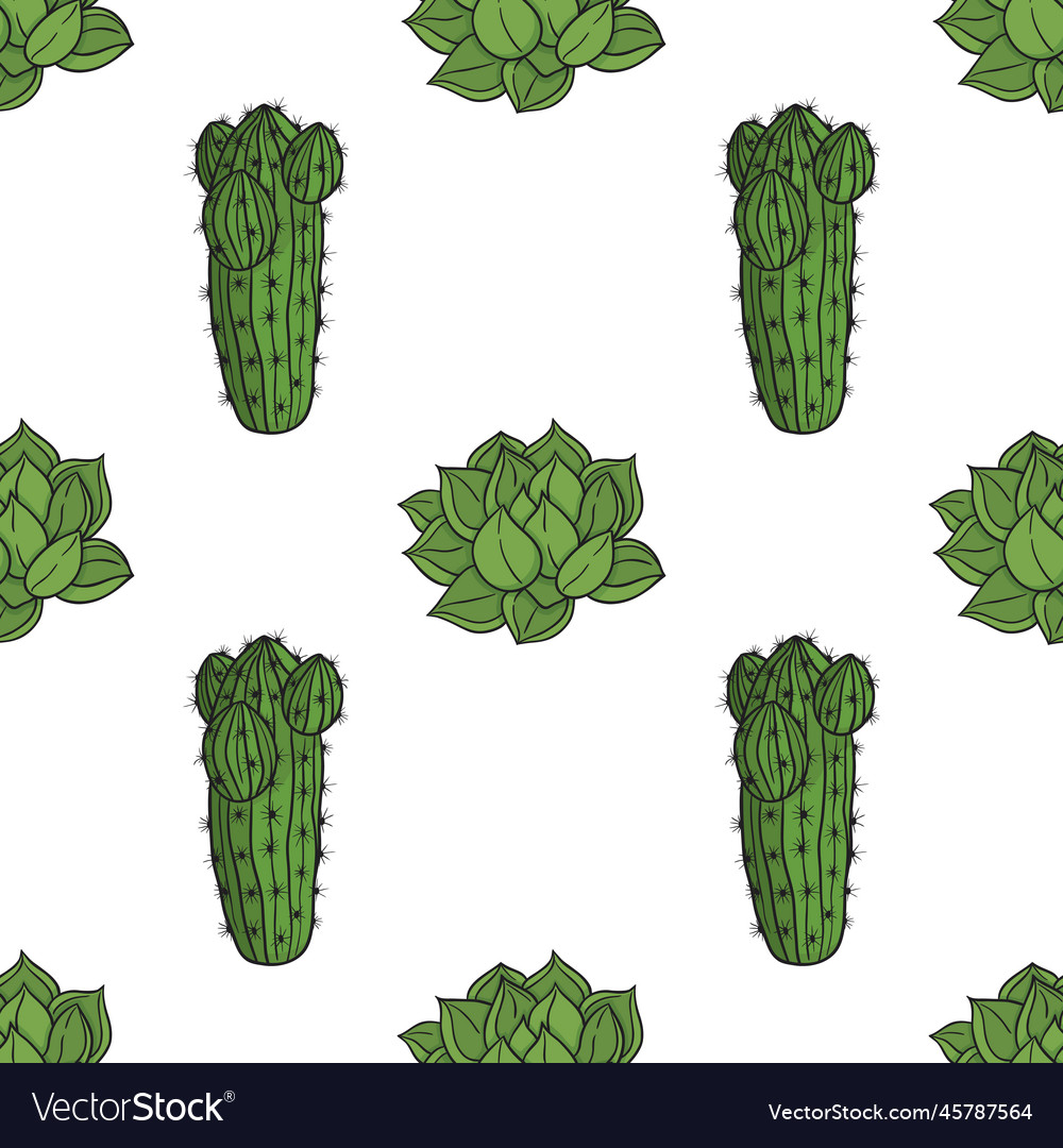 Graphic seamless pattern with cactus vector image Graphic seamless pattern with cactus