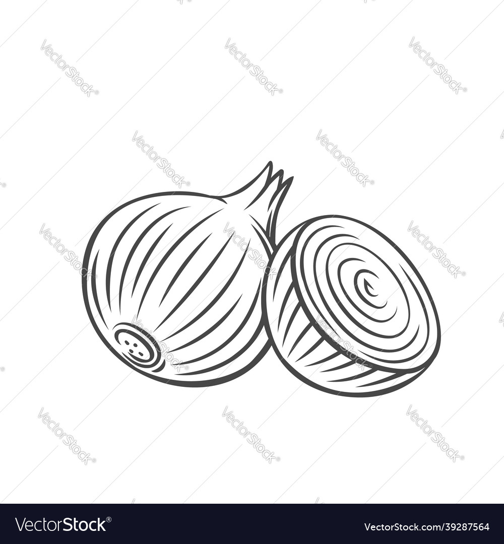 Onion outline icon Royalty Free Vector Image VectorStock