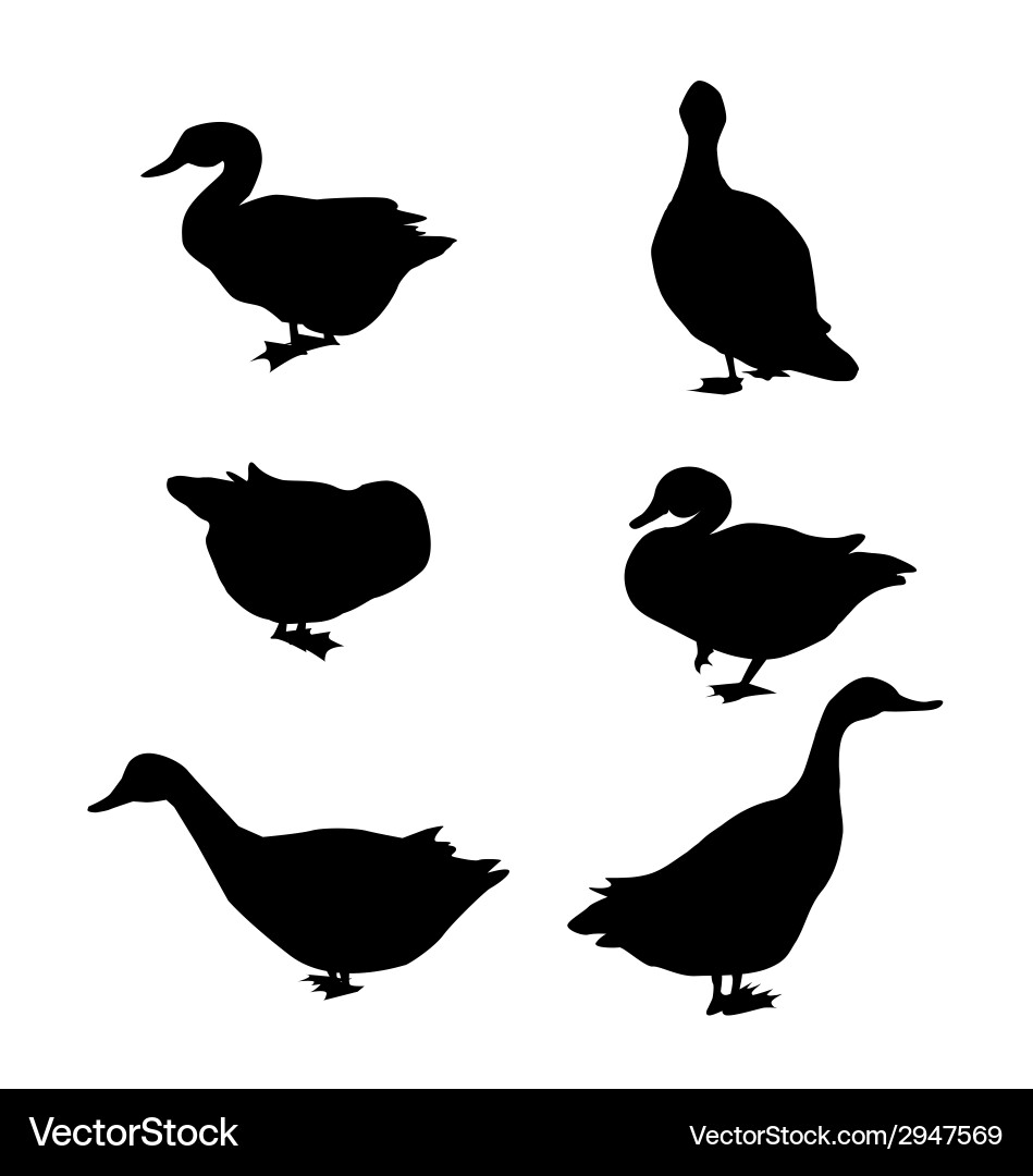 duck silhouette set royalty free vector image vectorstock vectorstock
