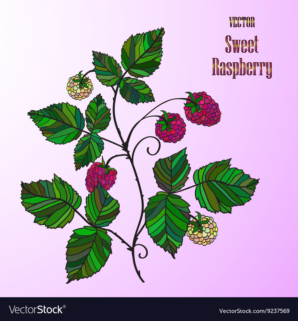 With a raspberry