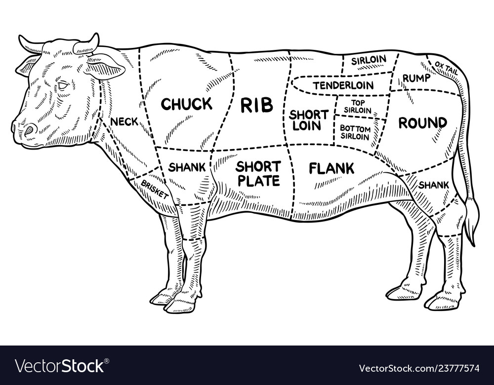 Cartoon beef meat cuts diagram line art Royalty Free Vector