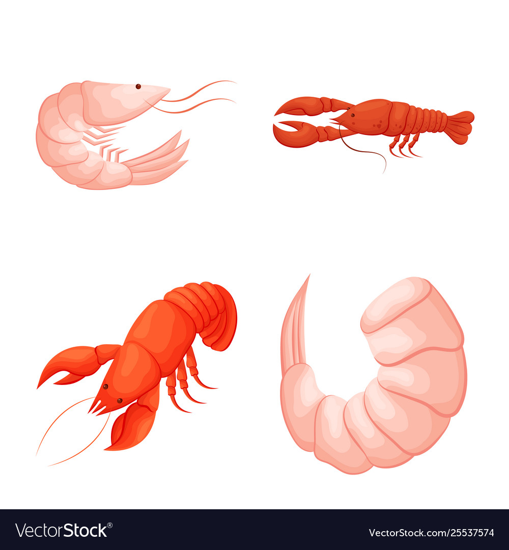 Isolated object shrimp and crab icon set