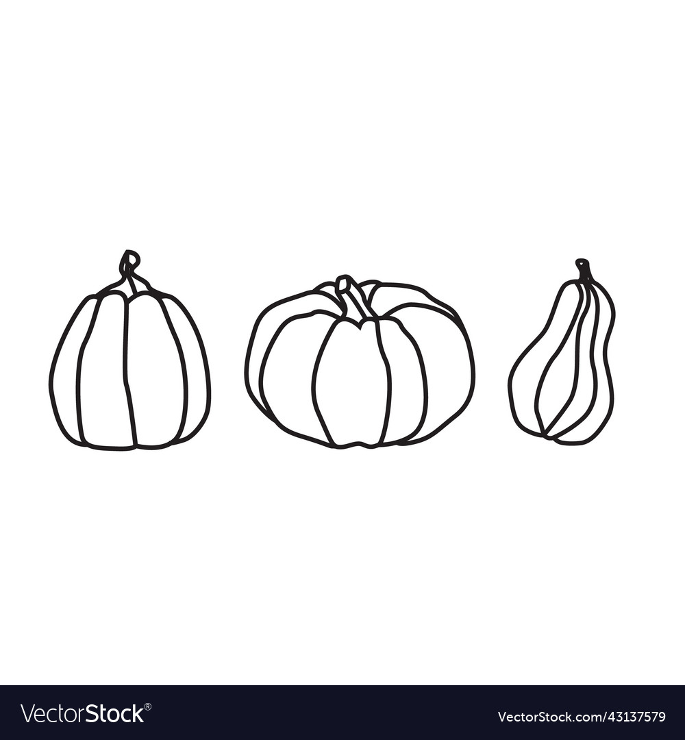 A set of pumpkins various shapes