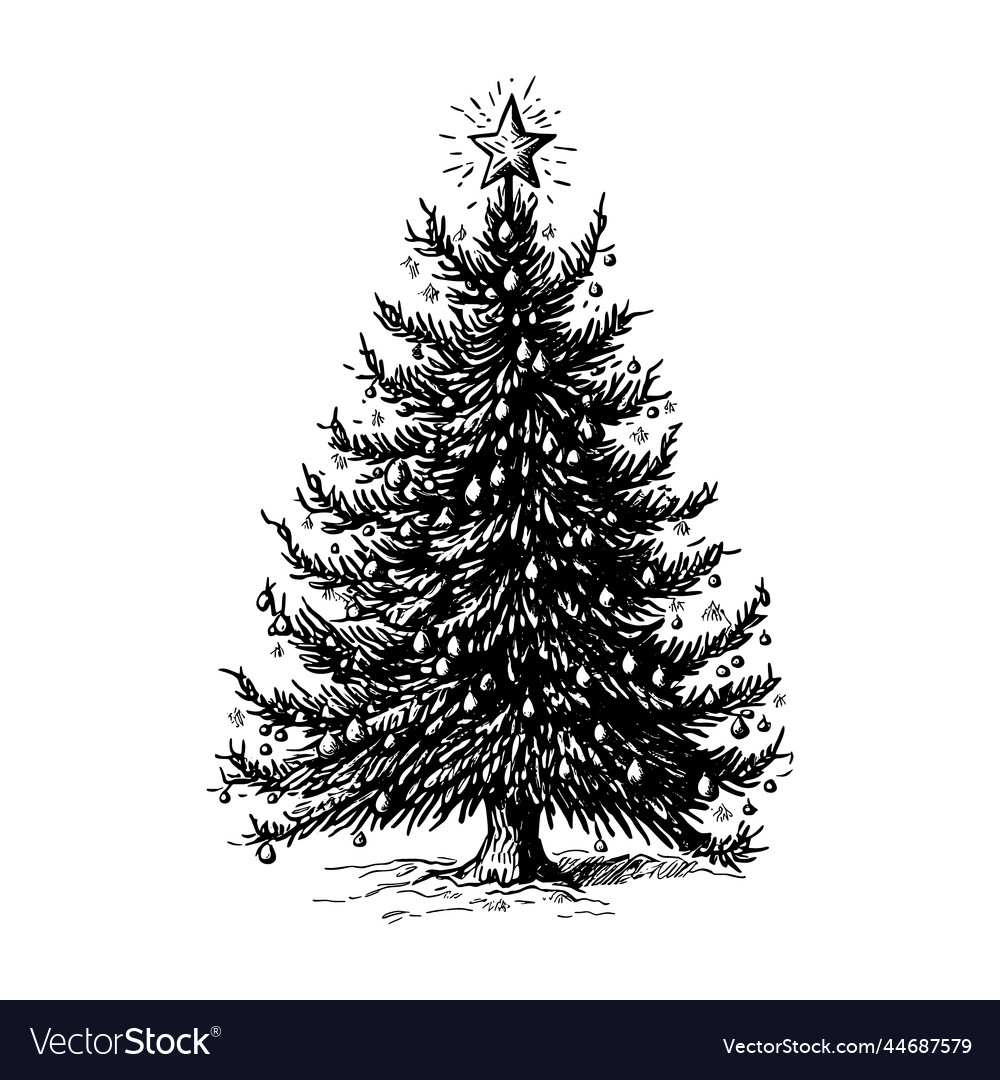 Hand drawn of christmas tree Royalty Free Vector Image