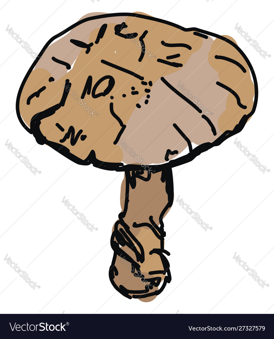 Mushroom on white background