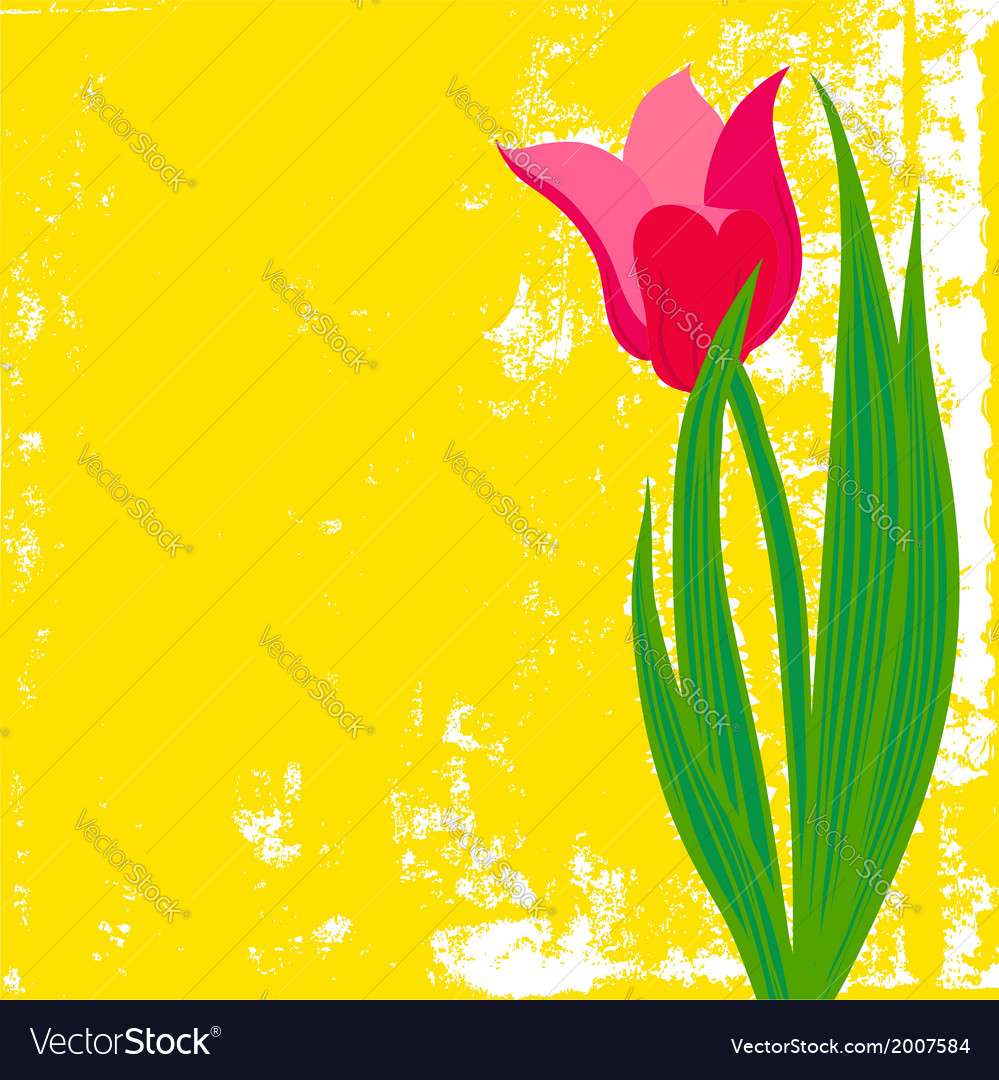 Card with red tulip on textured background