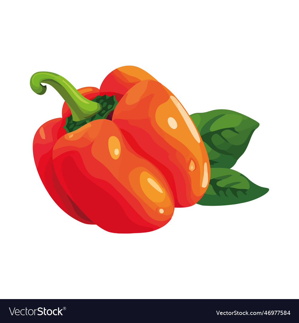 Fresh organic vegetable pepper ripe healthy