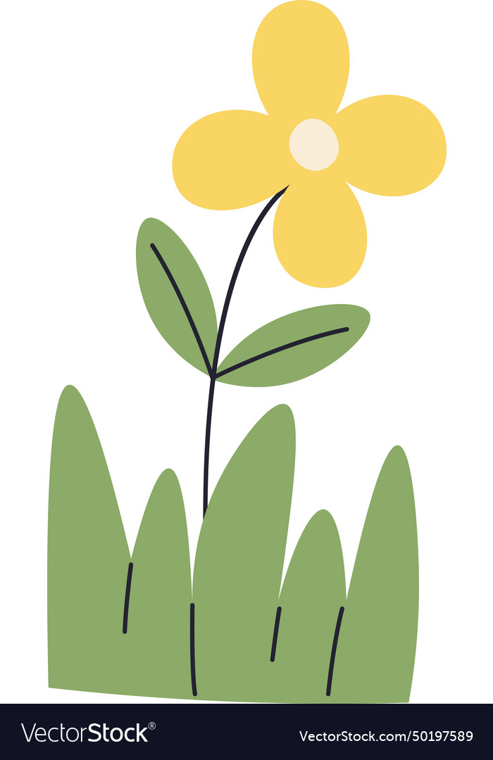 Flower and grass Royalty Free Vector Image - VectorStock