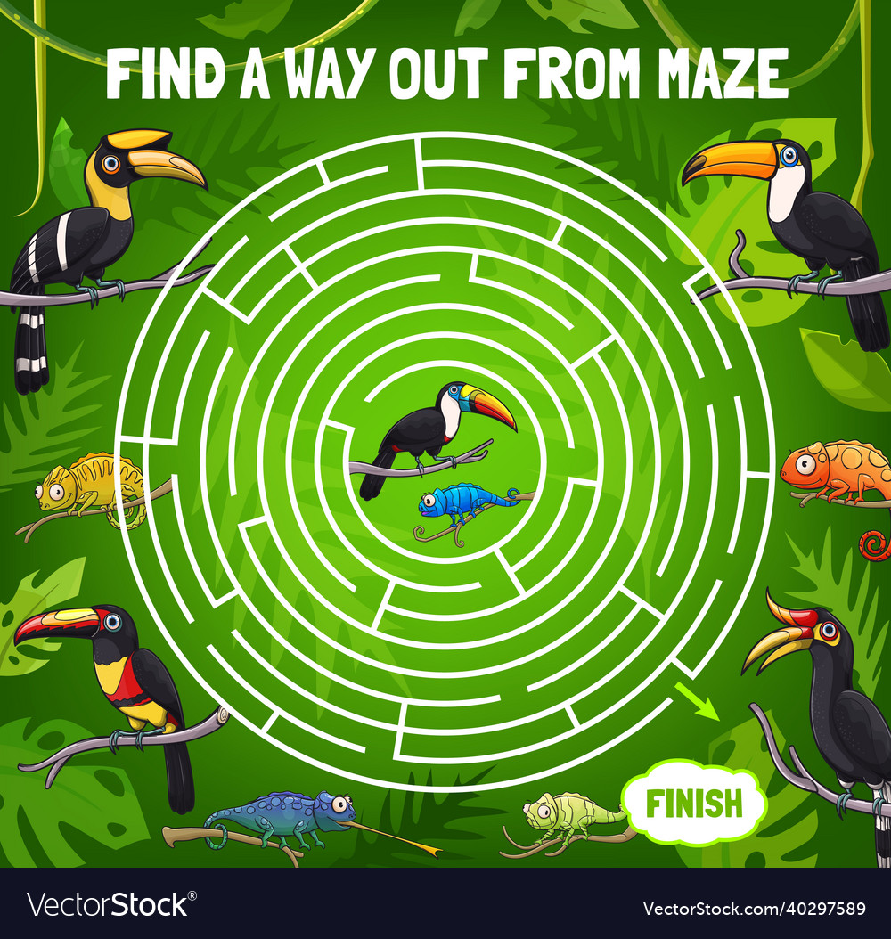 Labyrinth maze find way out toucan and chameleon vector image Labyrinth maze find way out toucan and chameleon
